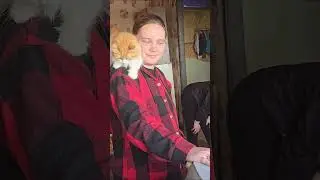 Волонтёр слегла в больницу! Забираем кошек в помощь!
