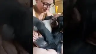 Собака друг не только для человека 🤗