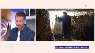 Les catacombes de Paris en péril ?- Merci ou non merci de Victor Dekyvere - C l’hebdo - 02/11/2024