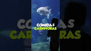 el pez más veloz #datoscuriosos #ocean  #animals