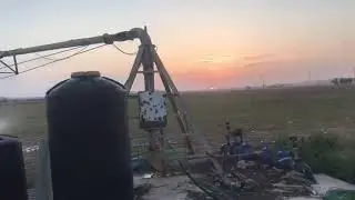 חוות השחפים זריחה
