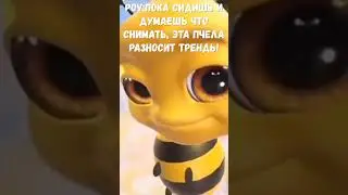 Pov:Пока сидишь и думаешь что снимать 