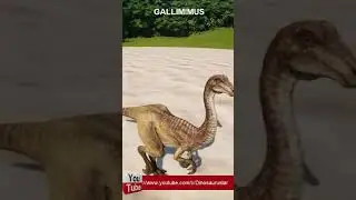 Gallimimus 