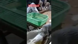 TIPS BELI DURIAN ⁉️ BUKA DULU DAN DICOBA BARU BISA BAYAR#durian #shortvideo