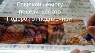 Выпуск 460/Алмазная мозаика/Пьяные ёжики