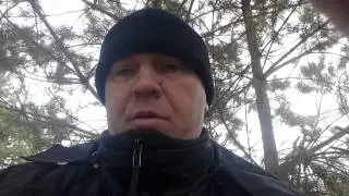 ОТКУДА КИТАЙЦЫ В ЛЕСУ