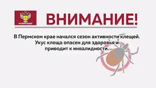 Управление Роспотребнадзора по Пермскому краю  напоминает об опасности клещей