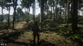 Hey, keep it down Arthur!  |  RDR2