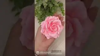 Роза