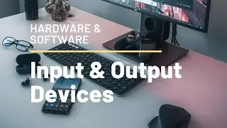 Input & Output Devices