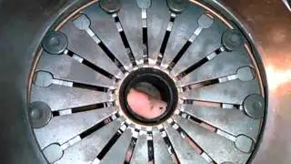 Nissan Primera P12. Difference in baskets 1.6 and 1.8