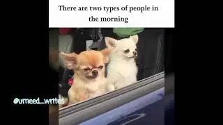 There are two types of People At Morning😂 || Meme || Memes Mood || Umeed Writes