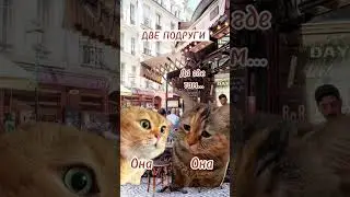 Супружеский долг 