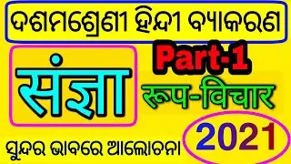 संज्ञा भाग-१ ( रूप-विचार ) /Sangya /Rup bichar / part -1/ Class 10 Hindi /LopaClasses / byakarana