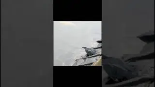 best fishing trip
