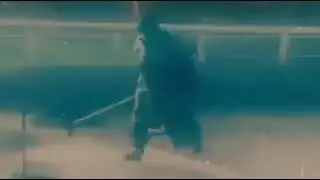 Работа подождёт