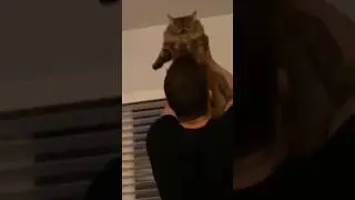 Compilation shorts pt.69 
