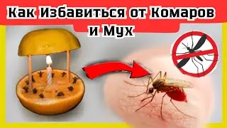 Как Избавиться от Комаров и Мух‼️Помощью...😱 Секрет Бабушки !#комары #мух #секрет #насекомыевдоме