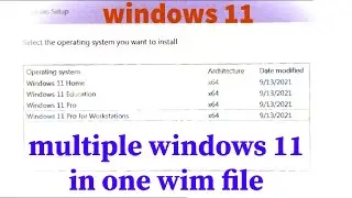 Multiple ISO File Versions of Windows 11 in One WIM File
