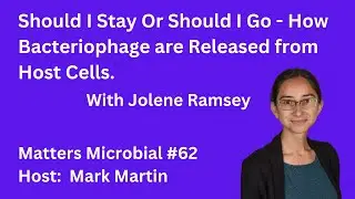 Matters Microbial #62: Should I Stay, or Should I Go—How Bacteriophage are Released from Host Cells