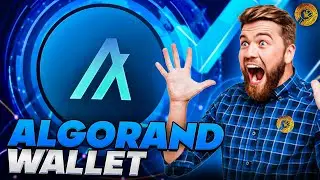 Algorand Wallet | Setup Algorand Wallet | What Is Algorand