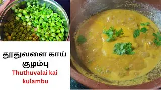 தூதுவளை காய் குழம்பு  |  Thuthuvalai kai Recipe |  Solanum Trilobatum  Health Benefits