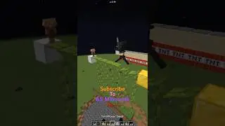 Minecraft Wither Skeleton IQ Test 🤣 