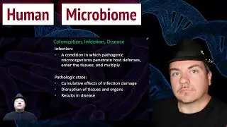 Humans and their Microbiome