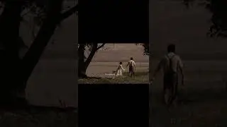 Untitled video
