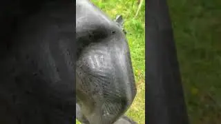 честный шиномонтаж