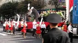 Винница. День города 2011. Парад.
