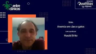 Entre Clínicas - Anemias em Cães e Gatos