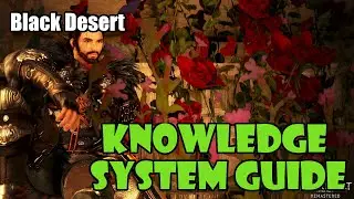 [Black Desert] Knowledge System Guide | More Energy, Amity, Better Drop Rate - How to Get Knowledge!