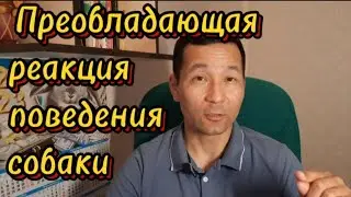 9. Преобладающая реакция поведения собаки. Как ее определить?