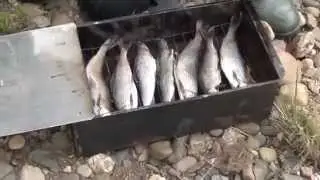 НАХЛЫСТ И СПИННИНГ ПРОТИВ ХАРИУСА И ЛЕНКА