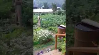 Приколы на даче.ГАЛЯ звонит!!!