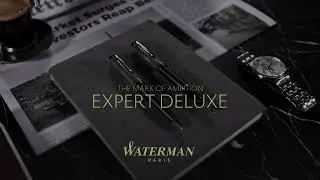 Waterman Expert Deluxe
