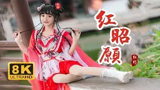 【8K】B站舞蹈首发！脸上的痘痘都能看得清清楚楚！《红昭愿》【红杉】