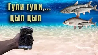Кормушка для рыбы