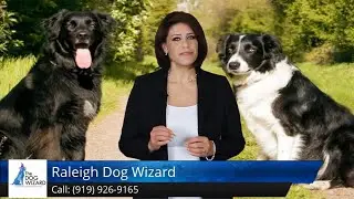 The Dog Wizard Raleigh Review Cary NC The Reserve 27511 919 926 9165