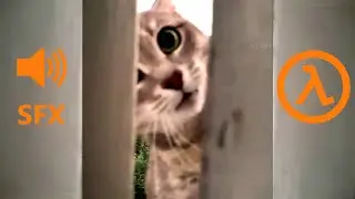 Half-Life Cat Balcony [SFX]