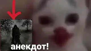 Джокер Виктор дудка котенок рассказывает анекдот про чёрного сталкера / смешной котенок/Виктор дудка