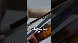 Strings of Serenity: Violin Selection Guide