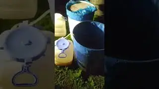 зерно на кодзи, 22 дня , еще бродит