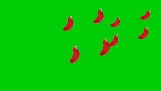Green screen flower effect Free download