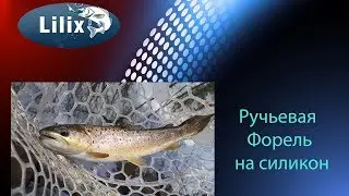 Ручьевая Форель на силикон (Рыбалка в Германии)
