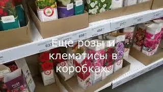 #Обзор