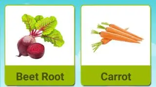 Vegetable Names with Pictures | Different Types Of Vegetables | Healthy Vegetables | Kids Learning