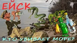 Ейск. Кто убивает море? Берег Ейского лимана. Куда не плюнь, везде пустая тара. Излюбленные отдыха.