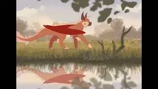 Noochi Walk Animation